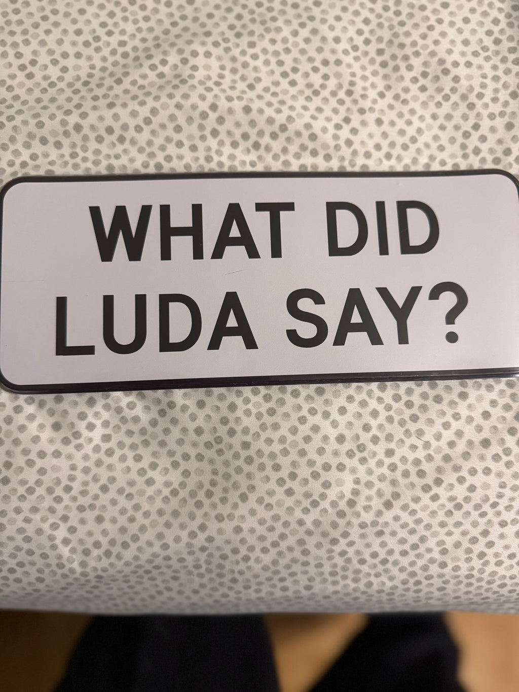 What Did Luda Say? (White)