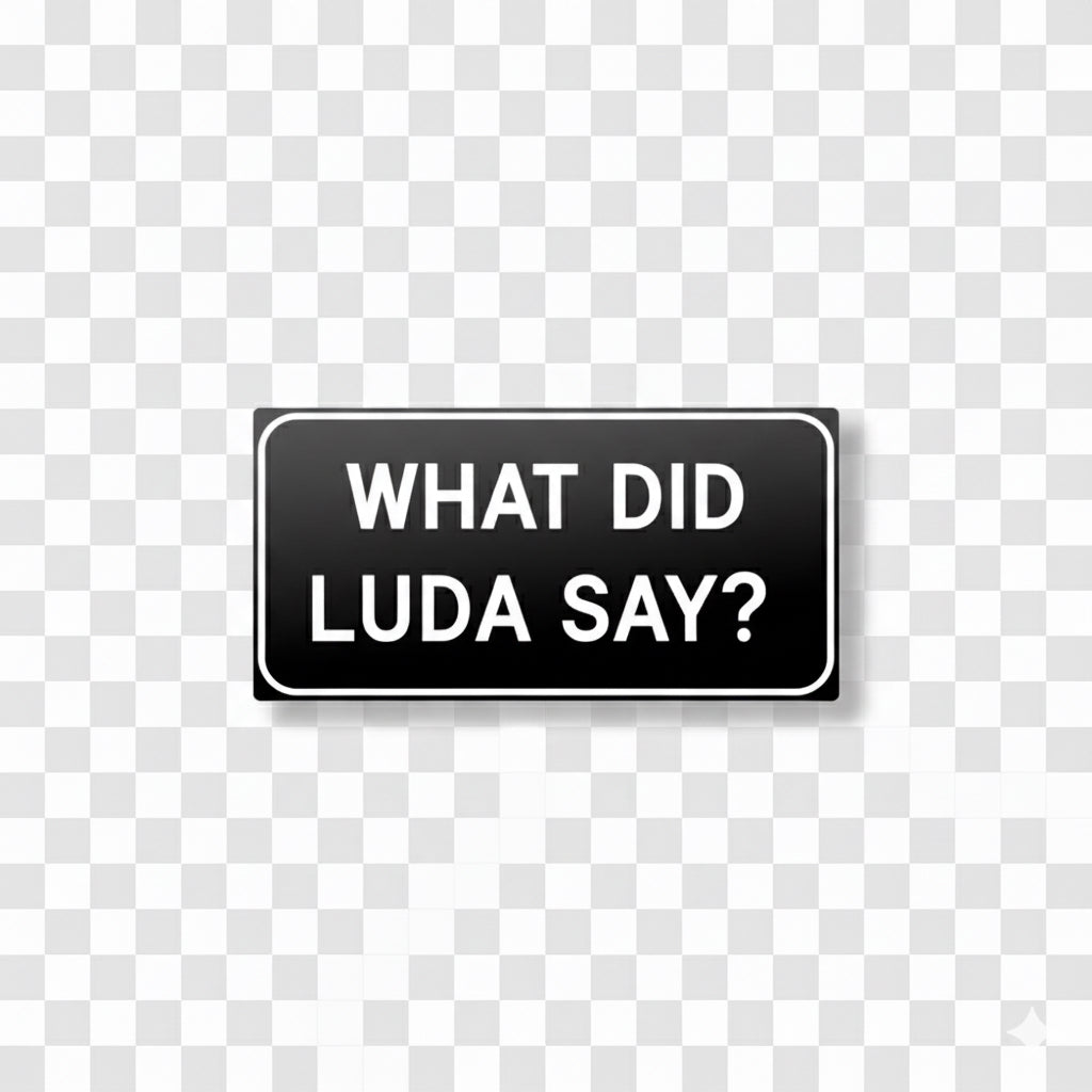 What Did Luda Say? (Black)