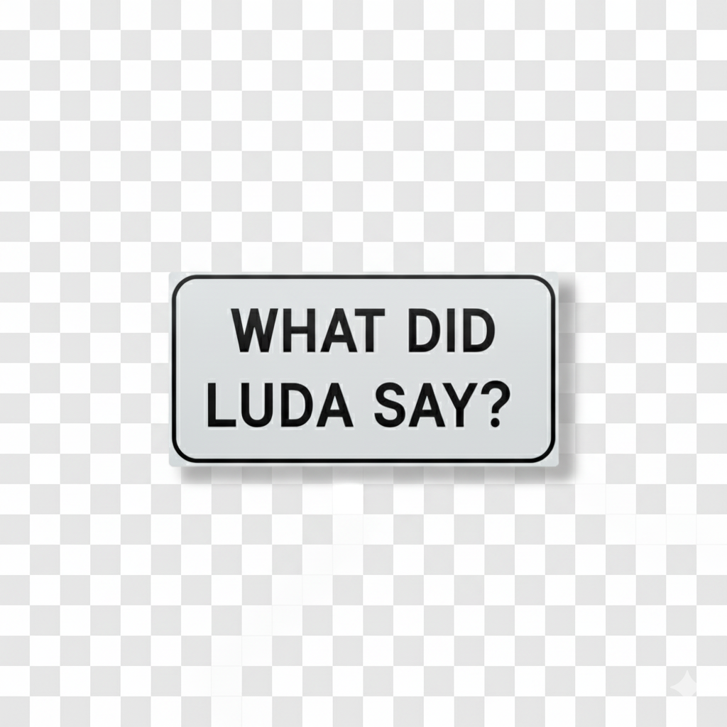 What Did Luda Say? (White)