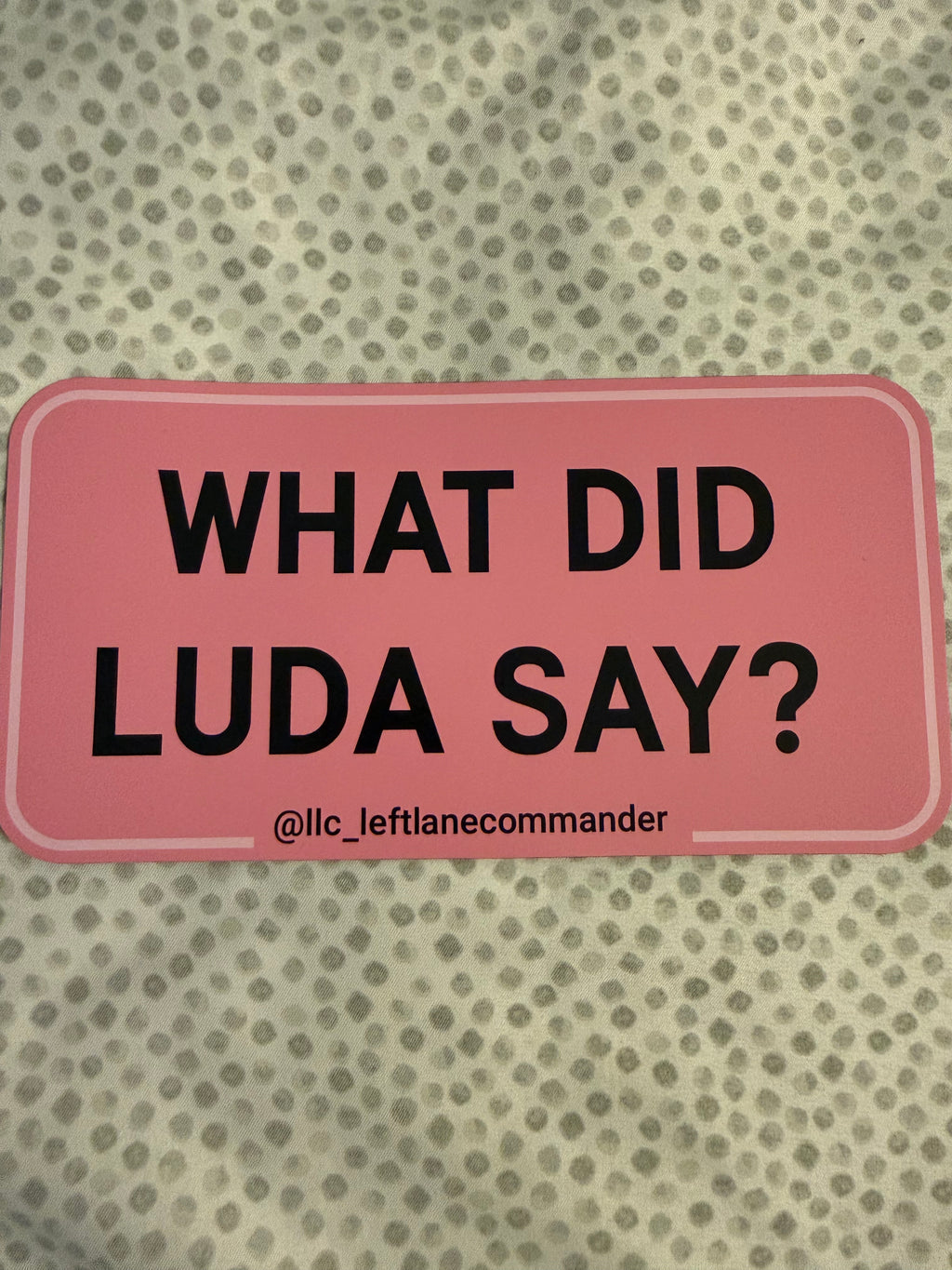 What Did Luda Say (Pink)