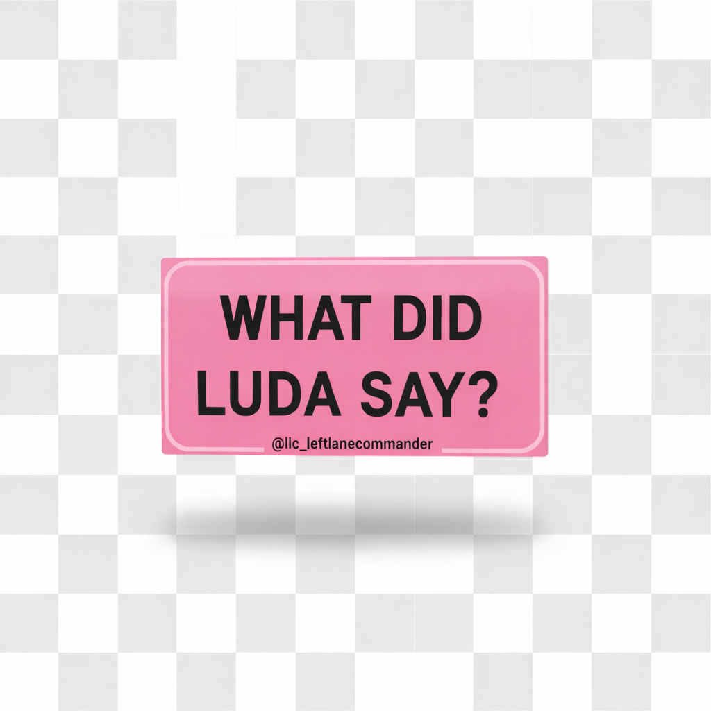 What Did Luda Say (Pink)