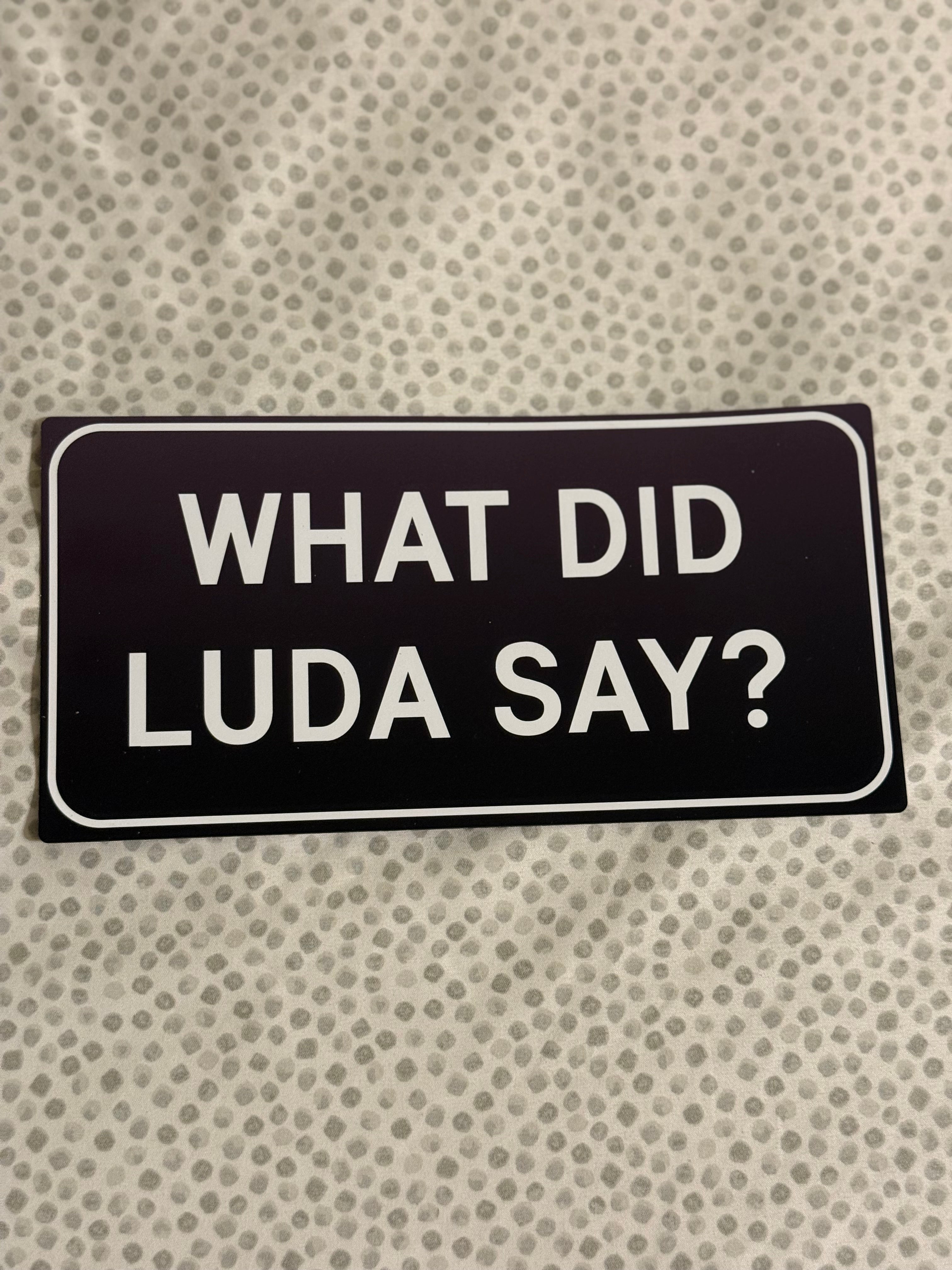 What Did Luda Say? (Black)